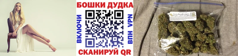 как найти закладки  Шагонар  Каннабис Amnesia 